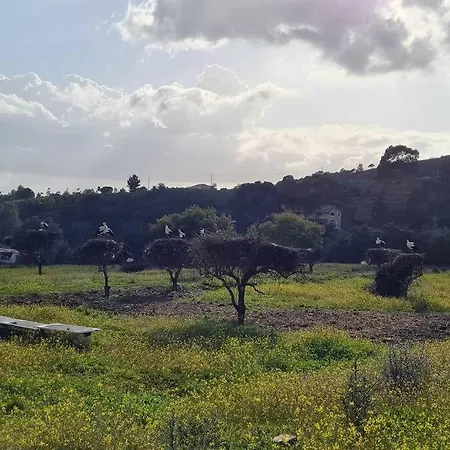 Vista Bonita With Views On The Ocean And The Hills * Portimão