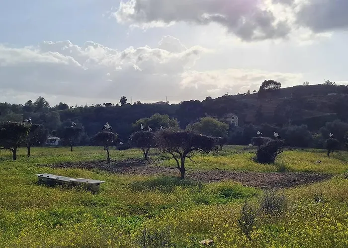 Vista Bonita With Views On The Ocean And The Hills * Portimao